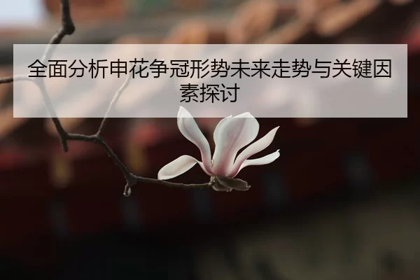 全面分析申花争冠形势未来走势与关键因素探讨