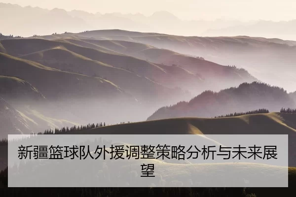 新疆篮球队外援调整策略分析与未来展望